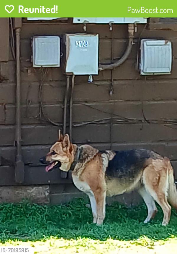 Reunited Female Dog last seen Near S 14th St, Kansas City, KS 66103, USA, Kansas City, KS 66103