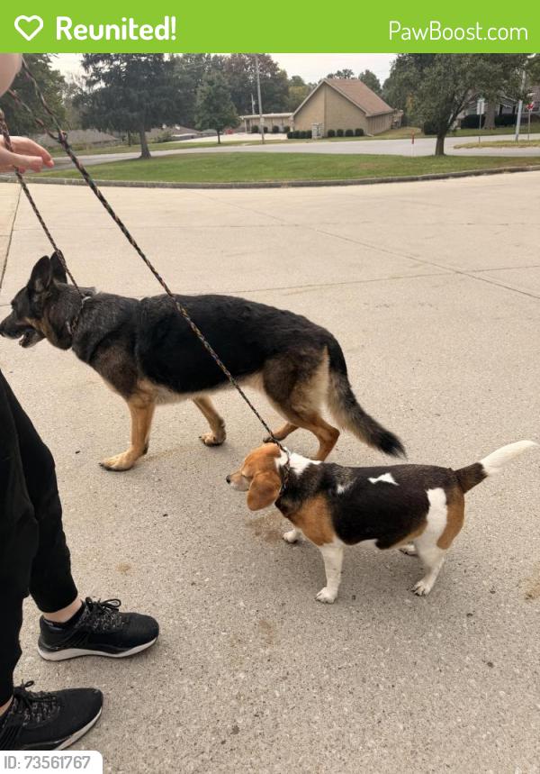 Reunited Unknown Dog last seen bundschu & Jackson - east independence / fort Osage area, Independence, MO 64056