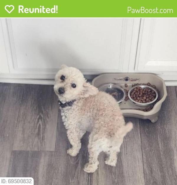 Reunited Unknown Dog last seen Ada ave, Aurora, CO 80018