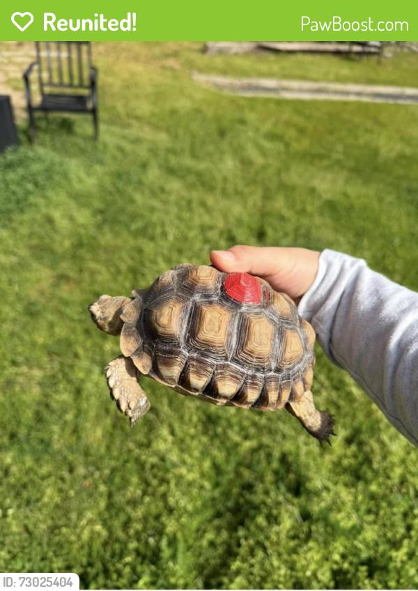 Reunited Female Other last seen Near Kensington dr, Citrus Heights, CA 95610