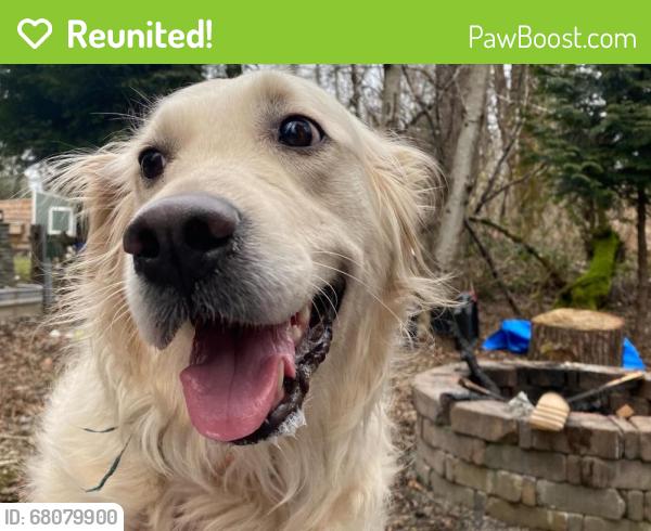 Reunited Female Dog last seen Woodinville-Duvall Rd & 176th Ave, Woodinville, WA 98072