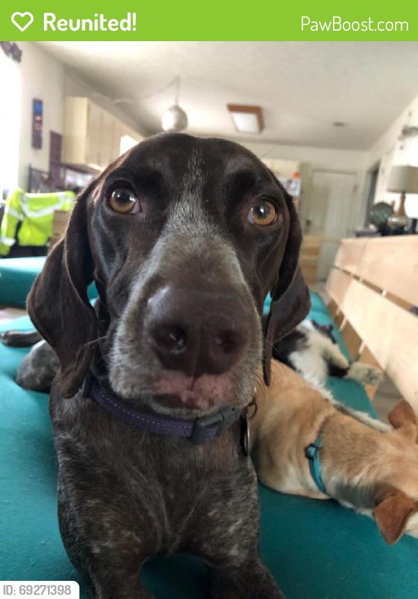 Reunited Female Dog last seen Zoo, Panama City Beach, FL 32407