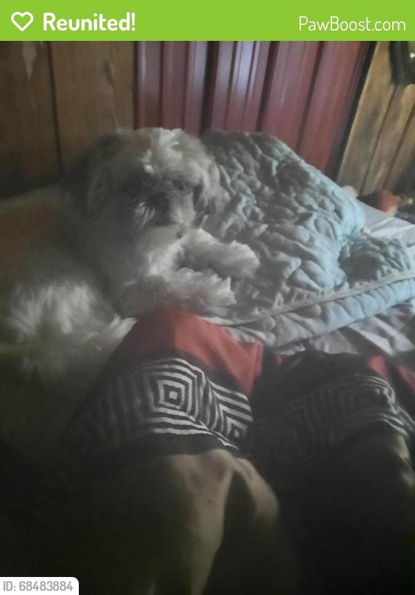 Reunited Male Dog last seen Cranston rd morehead ky, Cranston, RI 02910