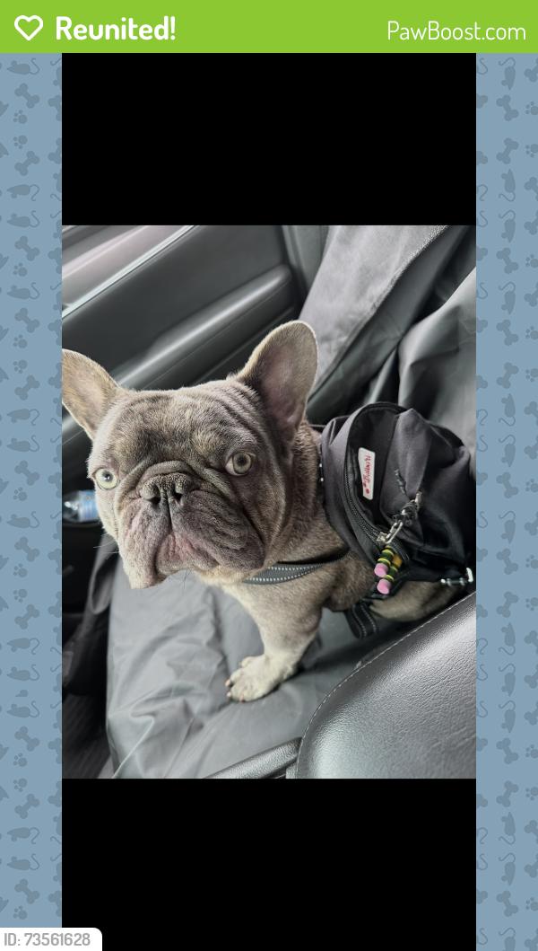Reunited Male Dog last seen Norwalk, Whittier, CA 90606