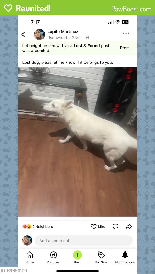 Reunited Female Dog last seen Near Martha Ln, Fort Worth, TX 76112, USA, Fort Worth, TX 76112