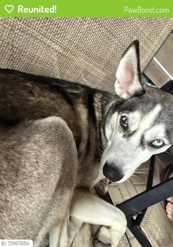 Reunited Male Dog last seen Near copper rim, San Antonio, TX 78245