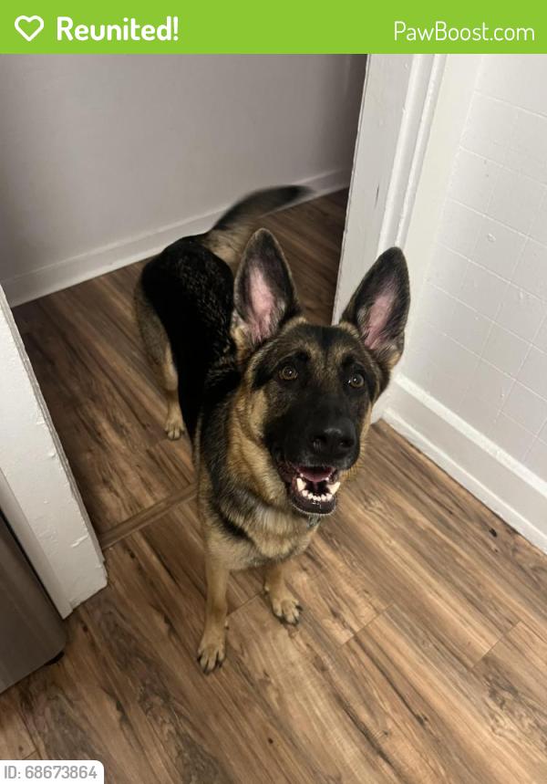 Reunited Female Dog last seen Near 13th Ave S, St. Petersburg, FL 33701, USA, St. Petersburg, FL 33701