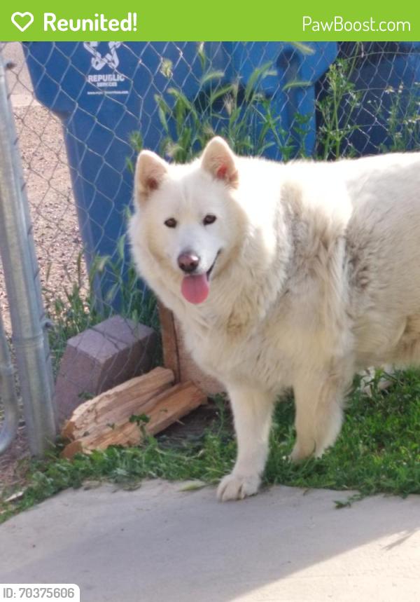 Reunited Female Dog last seen 70th leyden, Commerce City, CO 80022
