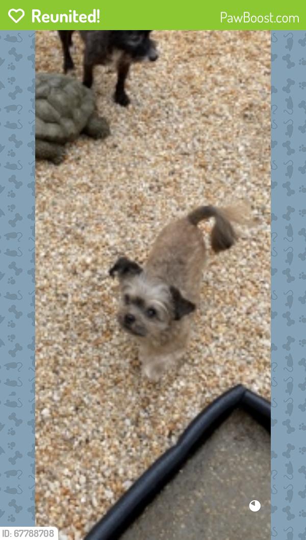 Reunited Male Dog last seen Casa Grande / El Hatco, Temple, PA 19560