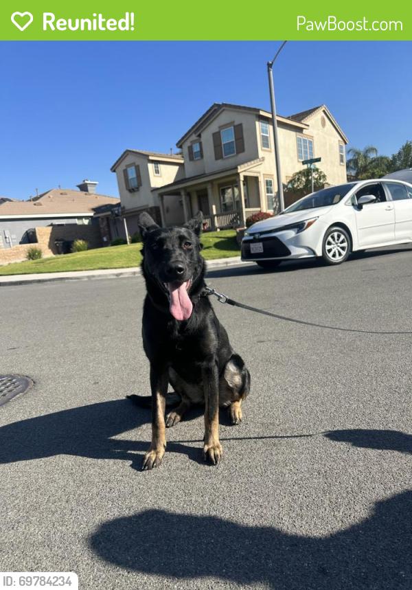 Reunited Unknown Dog last seen Eastvale, CA, USA, Eastvale, CA 92880