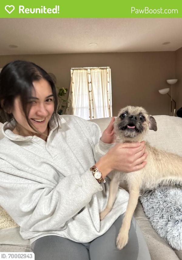 Reunited Female Dog last seen Near Sunset Funeral, El Paso, TX 79912