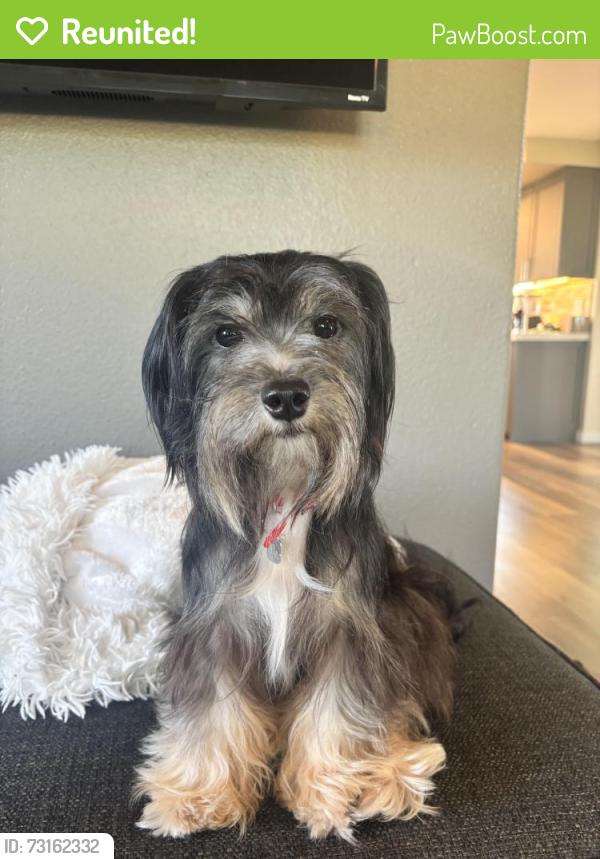 Reunited Female Dog last seen Tanglewood and mark ct., Salem, OR 97317