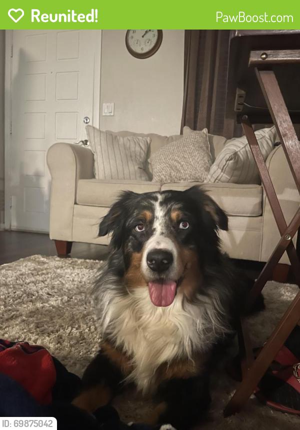 Reunited Male Dog last seen Everett and 56th street, Maywood, CA 90270