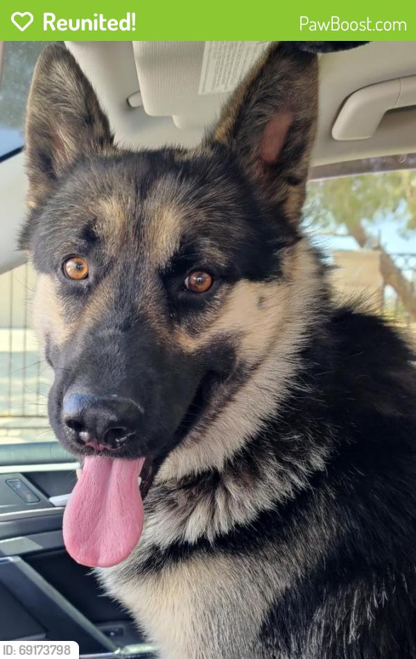 Reunited Unknown Dog last seen Yucca Loma & Kiowa, Apple Valley, CA 92395