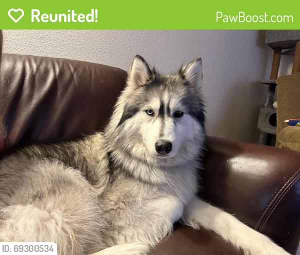 Reunited Female Dog last seen Locust Grove and Amity, possibly EB ten mile ramp, Meridian, ID 83642