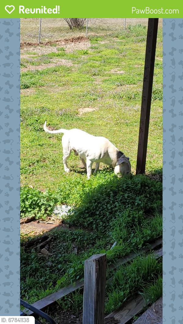 Reunited Male Dog last seen Fishmarket RD, McLoud, OK 74851