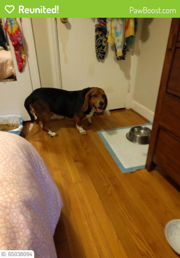 Reunited Male Dog last seen Near Gun Barrel Rd & Mahogany Grove Ln, Montpelier, VA 23192
